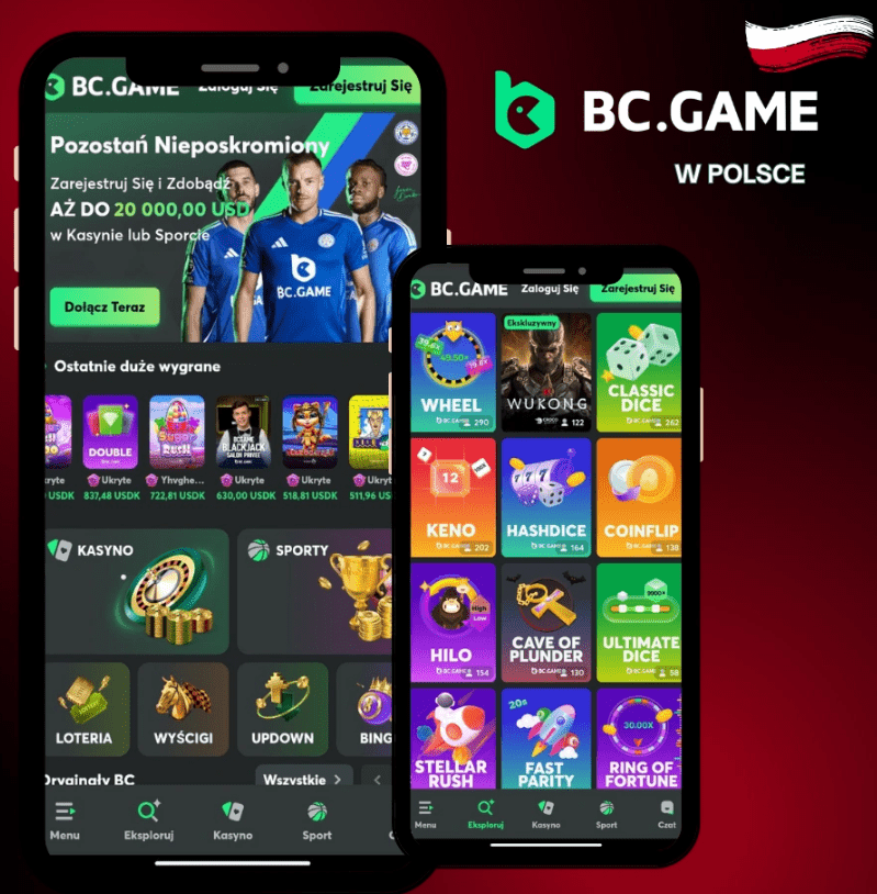 Exploring the Dynamic World of Bc.Game Betting Site